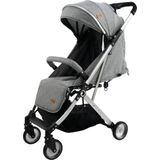 Ding Vivo Wandelwagen - Grijs/Zilver - Inklapbare Buggy - Inclusief Boodschappenmandje en Zonnekap