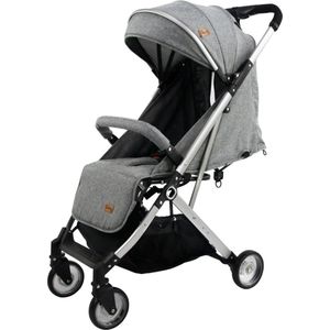 Ding Vivo Wandelwagen - Grijs/Zilver - Inklapbare Buggy - Inclusief Boodschappenmandje en Zonnekap