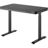 VDD - Gaming Bureau - Elektrisch Hoogte Verstelbaar - Incl. USB C en USB A