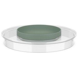 Mepal Spatdeksel beslagkom voor 3000 ml Chef it - 250 ml - Inclusief klein bakje van 250 ml - Schaal - Vaatwasmachinebestendig - Bakspullen - Nordic sage