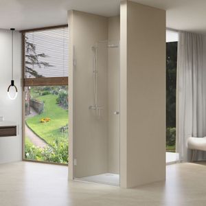 Nisdeur van rijn draaideur 8 mm met vaste wand 87x200 cm chroom