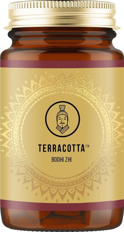 Terracotta - TCM BODHI-ZHI - Paddenstoelen Combi - 180 Caps - Lion's Mane en Cordyceps Sinensis