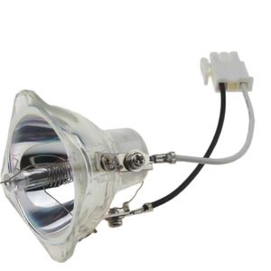 Compatibel 5J. J1R03.001 Voor Benq CP220 CP220C CP225 MP610 PB2120 PB2220 Projector Lamp Met Behuizing