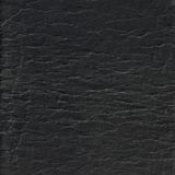 G-STAR RAW Gwyn Ceinture pour femme Noir (dk black D23835-3127-6484), 100, Noir (Dk Black D23835-3127-6484), 100