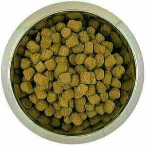 YOURDOG KONINGSPOEDEL SENIOR