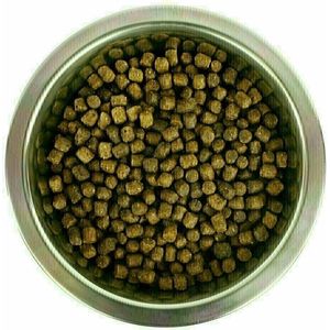 Yourdog dwerg- of toypoedel pup - 3 KG