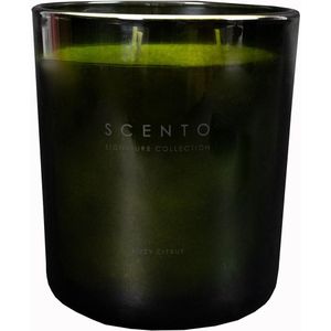 Scento Signature Collection Fizzy Citrus GROTE KAARS 930 G