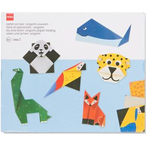 HEMA Oefen En Leer: Origami Vouwen