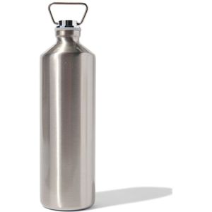 HEMA Bedkruik Rvs 1L
