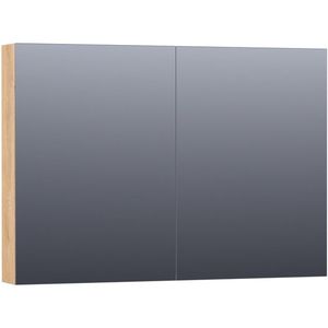 BRAUER Dual Spiegelkast - 100x70x15cm - 2 links- rechtsdraaiende spiegeldeur - MFC - nomad 7195