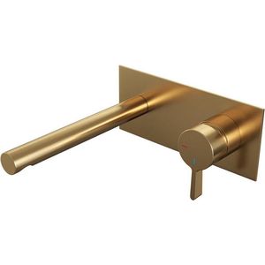 Brauer Gold Edition Inbouw Wastafelkraan Afdekplaat Rechte Uitloop Model E Goud Geborsteld