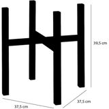 Kamerplant - Groen - Diverse Soorten - Voor Binnengebruik