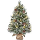 Black Box - Kunstkerstboom - Besneeuwd - 60 cm - Met Verlichting - 20 LED Lichtjes