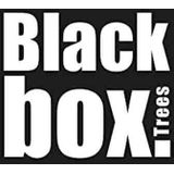 Black Box - Kunstkerstboom - Besneeuwd - 60 cm - Met Verlichting - 20 LED Lichtjes