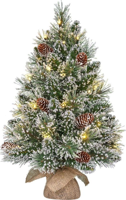 Black Box - Kunstkerstboom - Besneeuwd - 60 cm - Met Verlichting - 20 LED Lichtjes