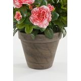 Mica Decorations - Azalea - Kunstplant - Perzik - 31 cm - in Pot
