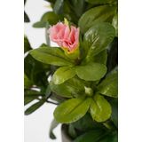 Mica Decorations - Azalea - Kunstplant - Perzik - 31 cm - in Pot
