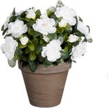 Mica Decorations - Azalea - Kunstplant - Wit - 31 cm - in Pot