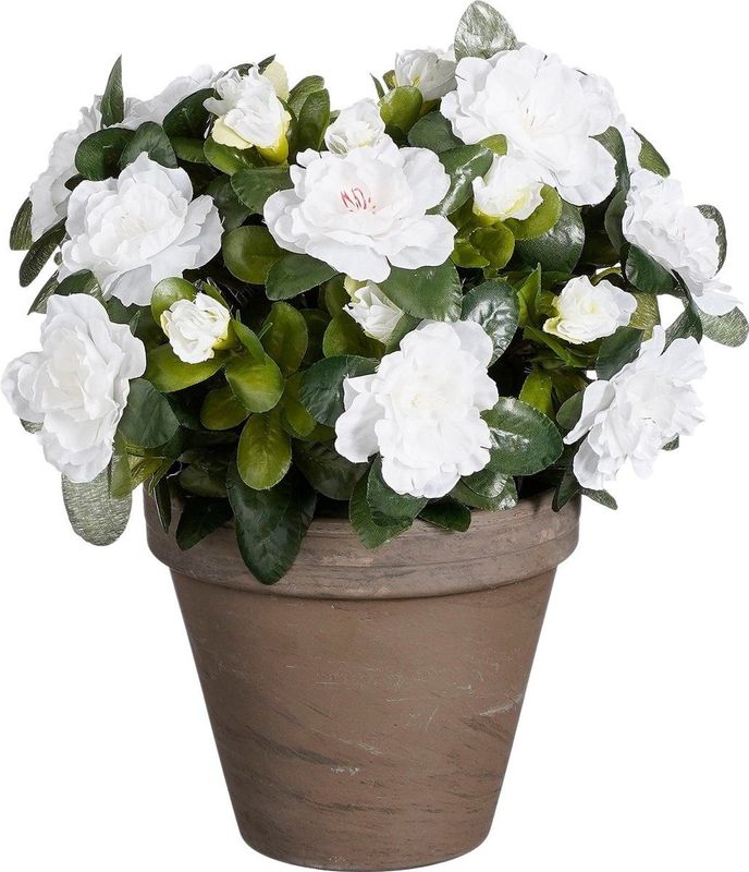 Mica Decorations - Azalea - Kunstplant - Wit - 31 cm - in Pot
