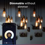 HOFTRONIC - E27 LED Filament Lamp - Instelbaar Licht - Wit