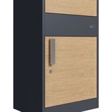 AXI - Levi - Pakketbrievenbus - Antraciet/Houtlook - Metaal