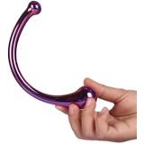 Dream Toys Glamour Glass Curved Wand dubbele dildo rainbow 16,5 cm