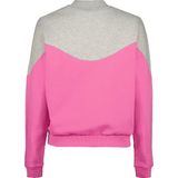 Raizzed - KALMAR - Dames Trui - Grijs - Baggy Fit