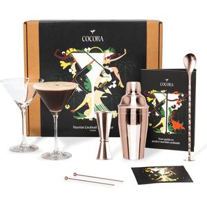 Cadeauset - Cocktailtools - 10 Recepten - Roestvrij Staal - Luxe Verpakking