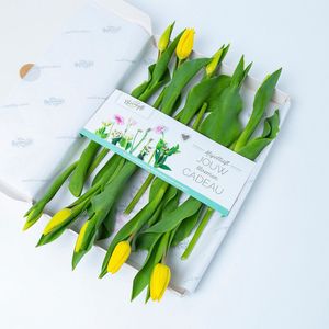 BloomGift | Brievenbus bloemen | Gele tulpen | 10 stelen | Origineel paascadeau