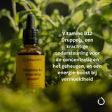 VitaminFit - Vitamine B12 - Druppels - Bioactieve Vorm - 30ml