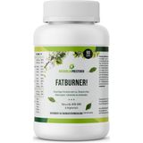 Natuurlijke Fatburner - vetverbrander - EGCG Groene thee extract - Spaanse peper - druivenpit extract - 90 caps