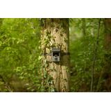 Camouflage EZ Solar - Wildcamera - Zwart - Met Wifi en Zonnepaneel