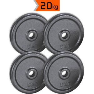 4x5kg halterschijven set - 20kg - gietijzer - 30mm - gewichten - 5kg - halterset - gewicht schijven