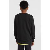 O´NEILL - N4750003 - Pullover - Blauw - Katoen