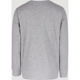 O'Neill Sweater Grijs
