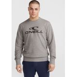 O'Neill Sweater Grijs