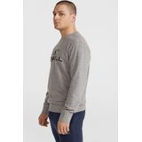 O'Neill Sweater Grijs