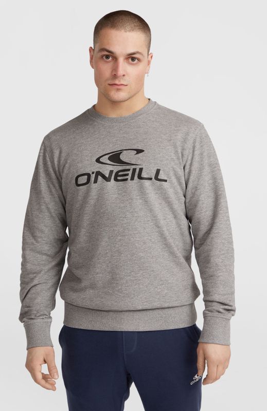 O'Neill Sweater Grijs
