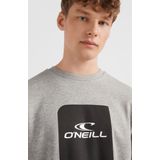 O'Neill Sweatshirts Men CUBE CREW Grijs - Grijs 60 Cotton, 40 Recycled Polyester