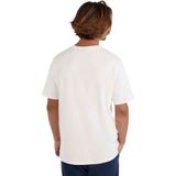 O'Neill Heren Klein Logo T-shirt - Snow White