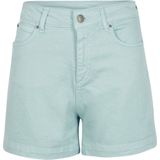 O'neill Shorts Dive Twill Shorts