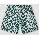 O'Neill - Hyperdry - Zwembroek - Microvezel - Elastische Taille - Binnenbroek van Mesh