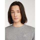 O'Neill Sweater met Logo Grijs
