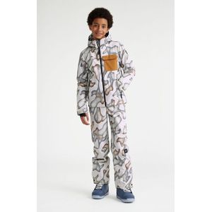 O´neill Hammer Printed Broek Beige 13-14 Years Jongen