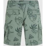 O'neill Shorts Essentials Cargo Shorts