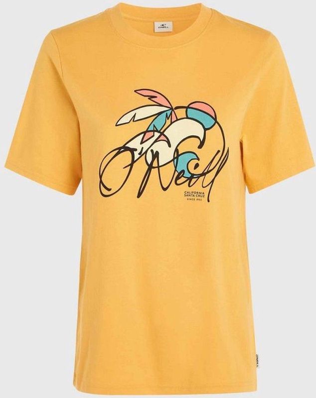 O'neill t-Shirts Luano Graphic t-Shirt