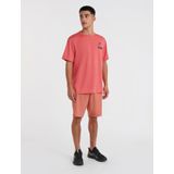 Korte broek O'Neill Men O'Neill Hybrid Chino Red Orcher-Maat 30