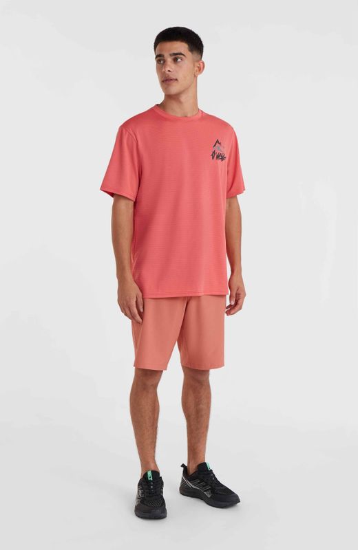 Korte broek O'Neill Men O'Neill Hybrid Chino Red Orcher-Maat 30