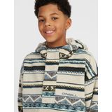 O'neill Fleeces O'neill Superfleece Hz Hoodie