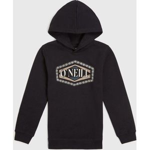 O'neill Truien O'neill Front Print Hoodie